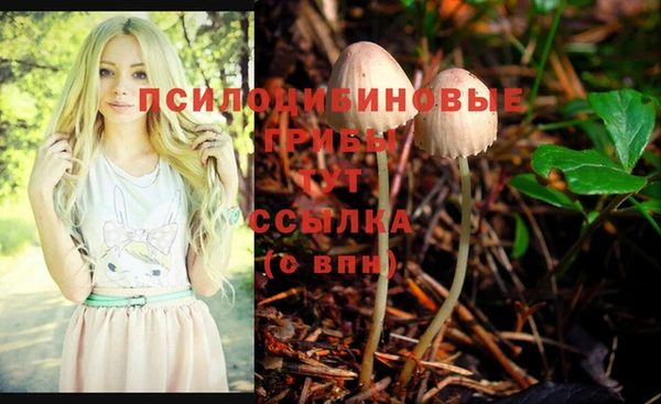 дживик Заводоуковск