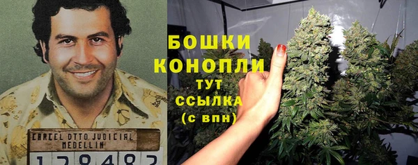 дживик Заводоуковск