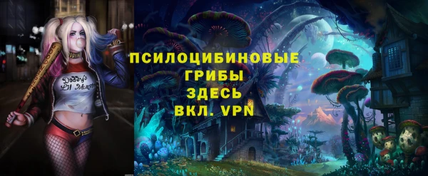 МДПВ Заволжье