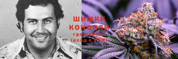 дживик Заводоуковск