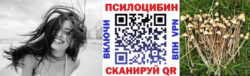 Псилоцибиновые грибы Magic Shrooms  Купить  Юрьевец 