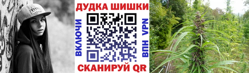Купить  Юрьевец  Конопля план 